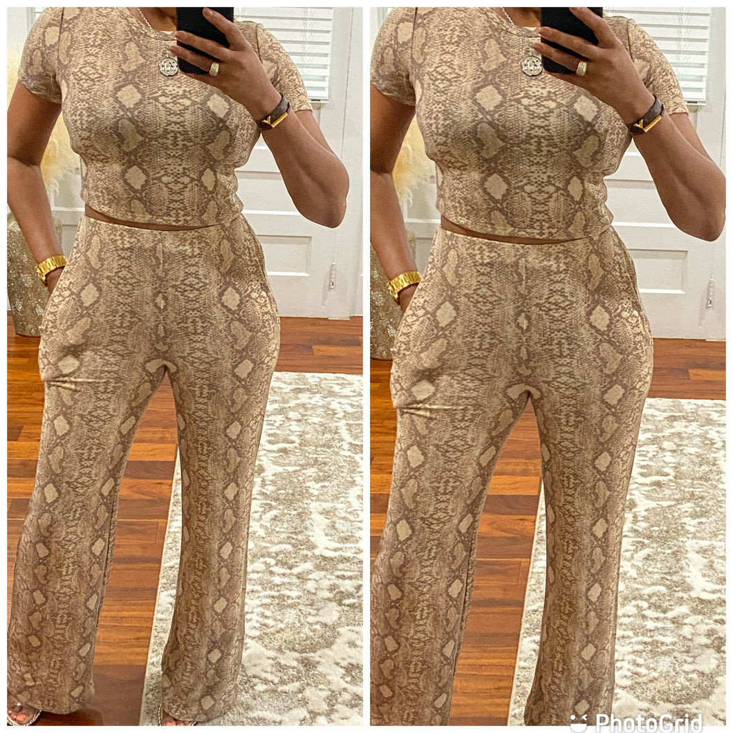 Taupe Snake Skin Set